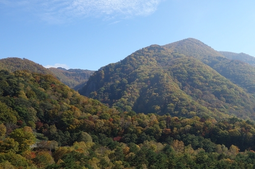 坊平橋から紅葉を撮影