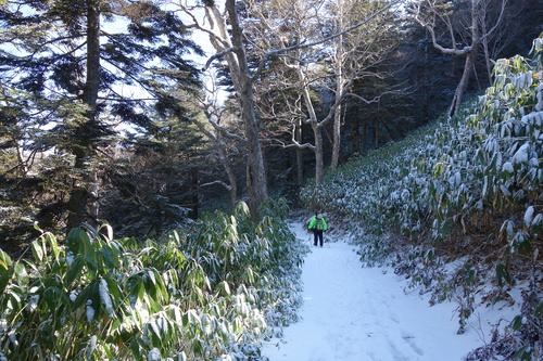 11月5日の池めぐりコースの積雪状況
