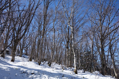 事務所裏の積雪