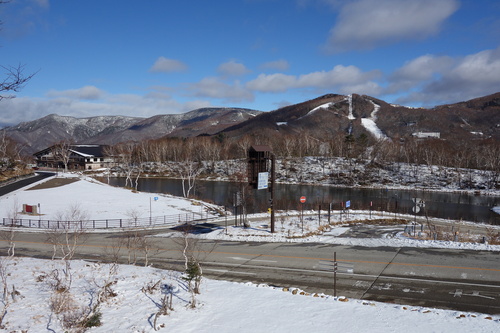 事務所から蓮池を望む