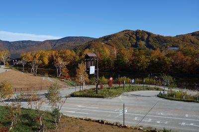 蓮池の紅葉10月16日