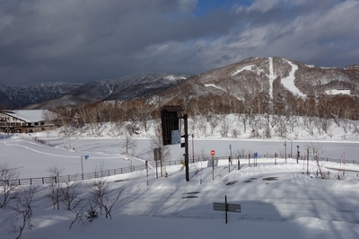 12月18日事務所から蓮池を望む