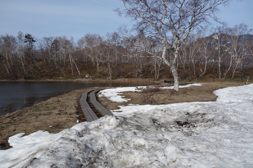 蓮池を周遊する遊歩道