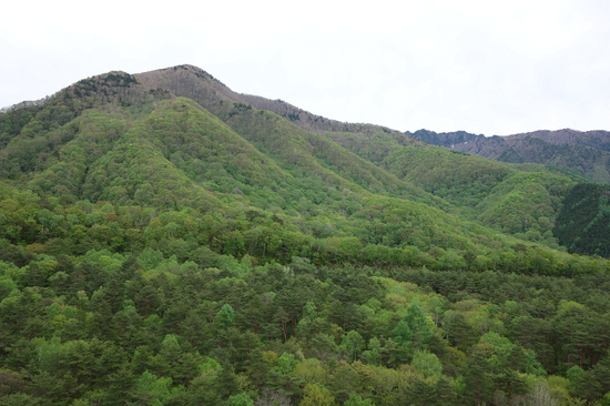 坊寺山の西向き斜面