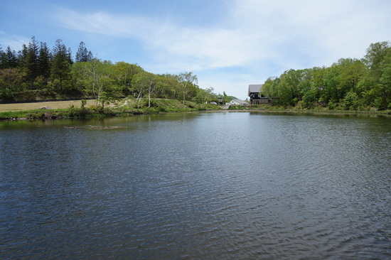 6月1日の志賀高原蓮池