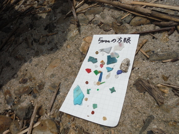 マイクロプラスチック