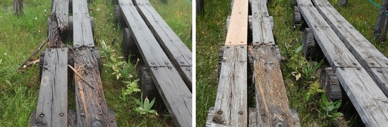 補修された木道