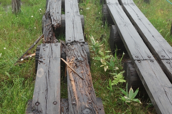 四十八池湿原の破損した木道