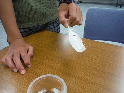 2021年8月18日　羽ぬらし実験