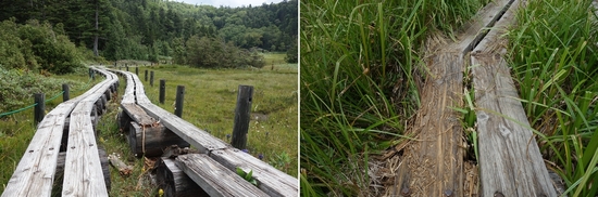 四十八池湿原の木道の通行について注意喚起