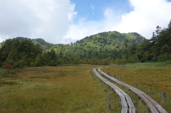 四十八池湿原の風景