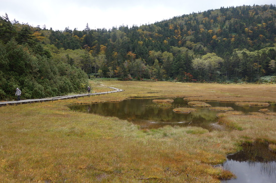 四十八池湿原の紅葉
