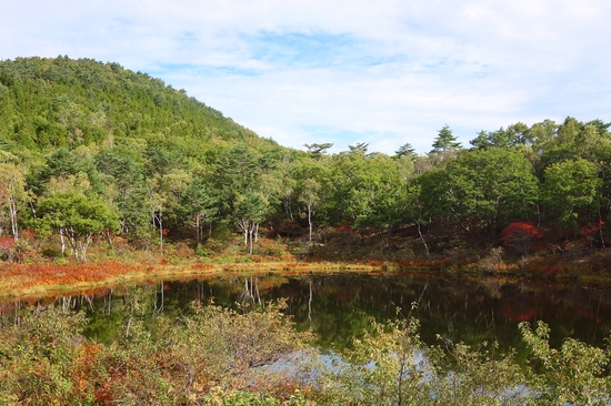 一沼の紅葉
