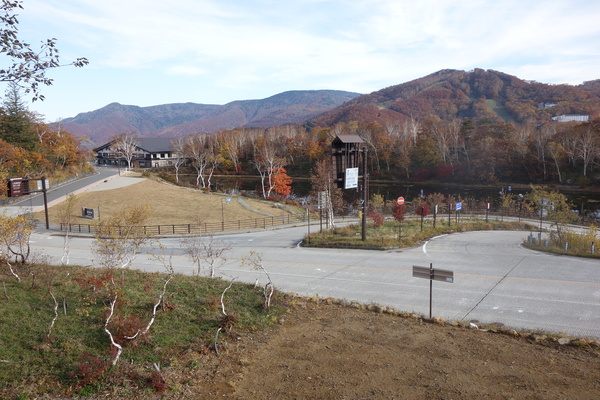 蓮池の紅葉は終盤