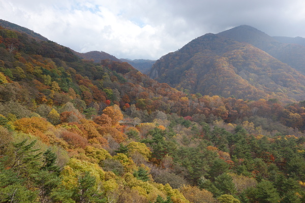 坊平付近は紅葉の見頃