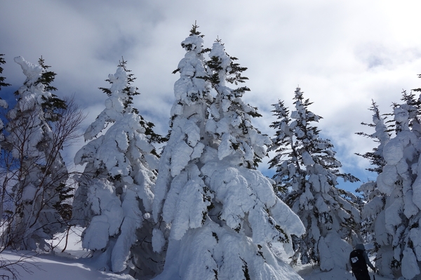 根子岳の樹氷