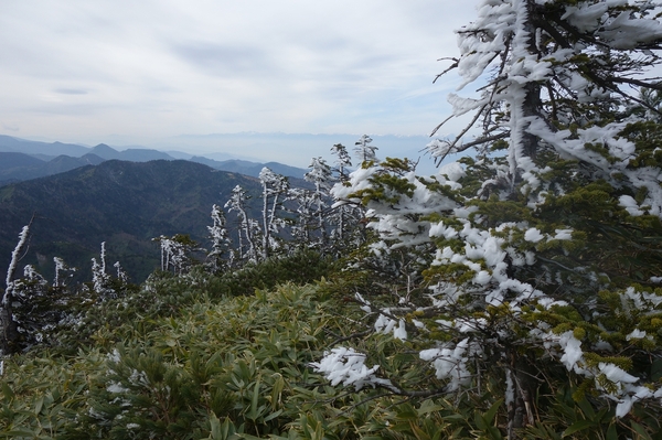 岩菅山山頂のえびのしっぽ