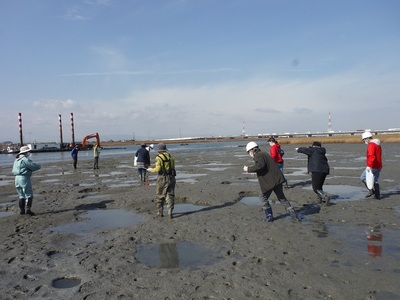 鳥インフルエンザ糞便調査