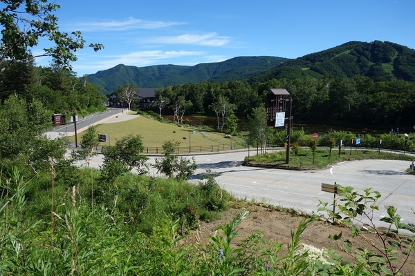 事務所から蓮池を望む。8月6日撮影。