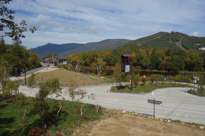 紅葉の推移_10月8日撮影