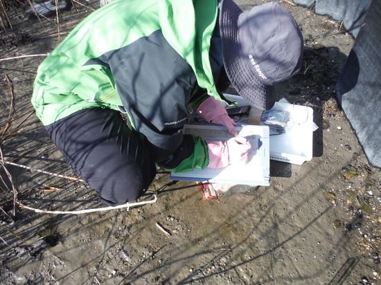 干潟の定点モニタリング調査