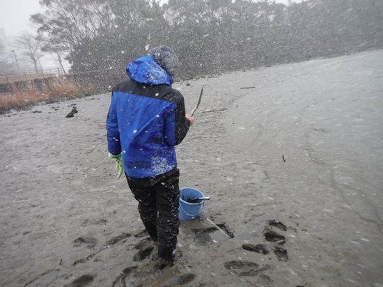 寒風吹きすさぶ中での調査の様子！