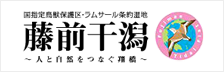 国指定鳥獣保護区・ラムサール条約湿地 藤前干潟 ~人と自然をつなぐ翔橋~(リンク)