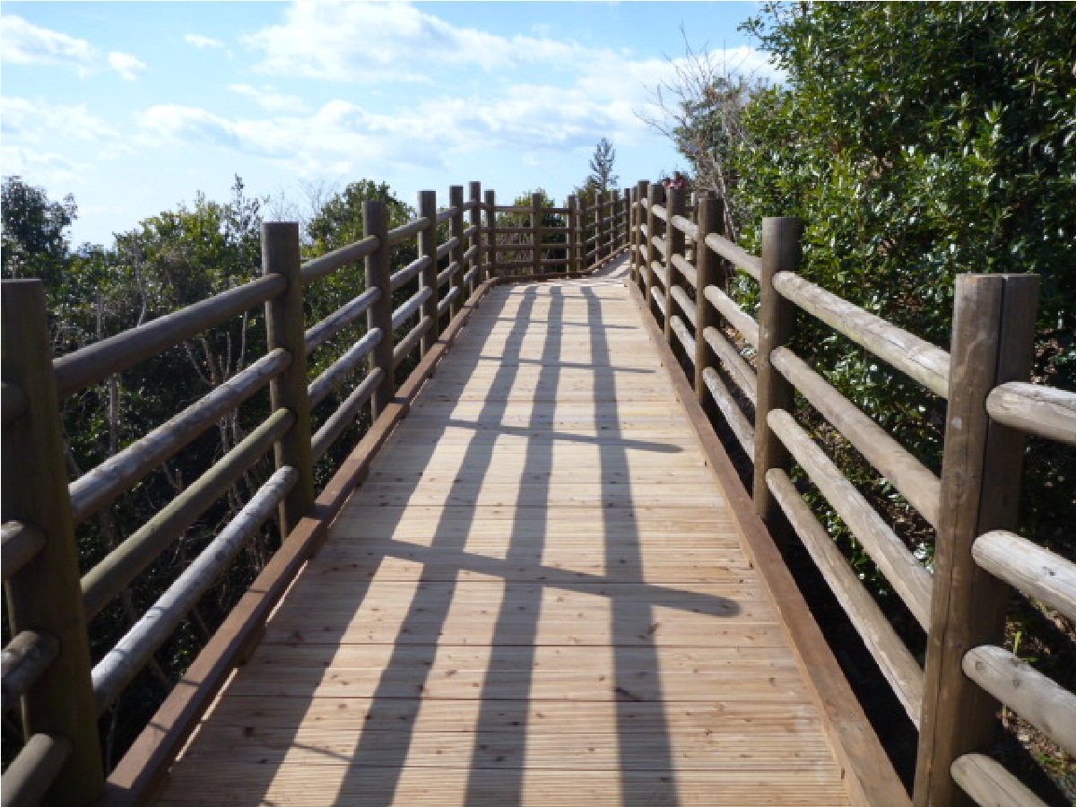 スロープ様子写真