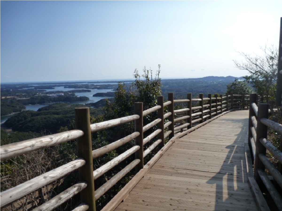 スロープからの眺め写真