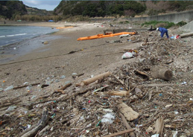 答志島・奈佐の浜 実施前