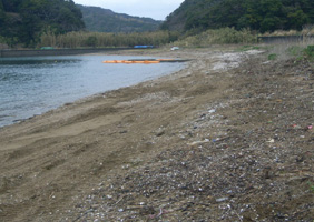 答志島・奈佐の浜 実施後