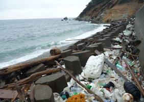 牛島北岸実施前