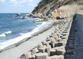 牛島北岸実施後