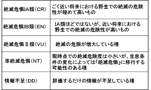 表:カテゴリー(ランク)の概要