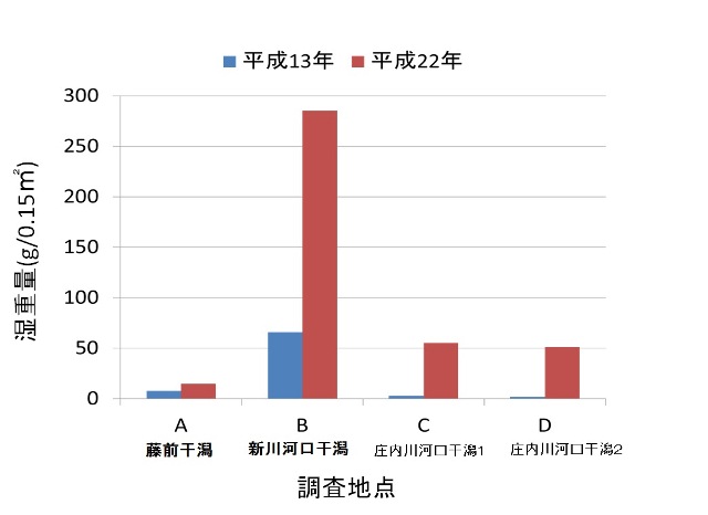 図:底生生物の変遷 湿重量