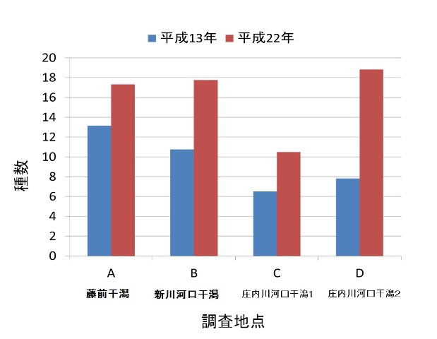 図:底生生物の変遷 種数
