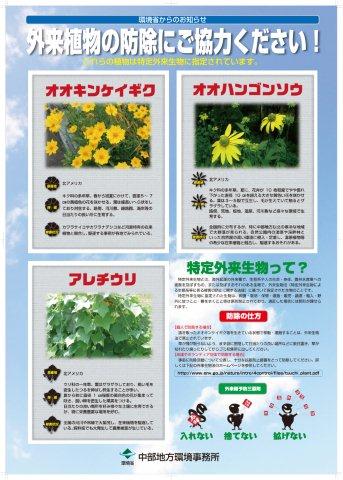 ポスター:外来植物の防除にご協力ください!