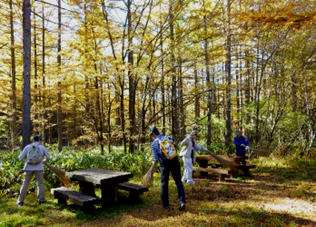 落ち葉掃きの様子