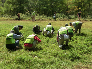 外来植物対策の様子
