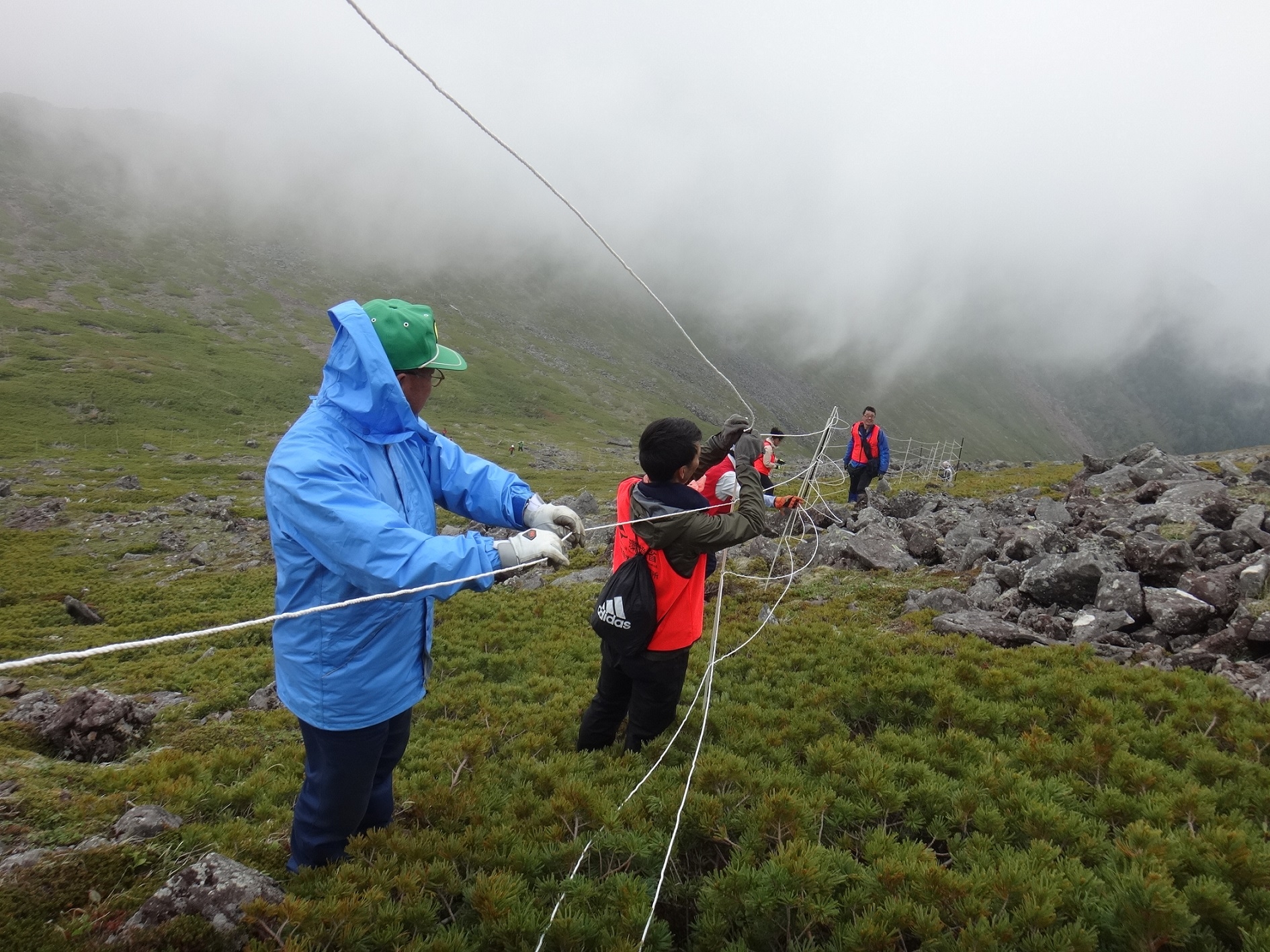 写真6 防鹿柵の設置作業の様子