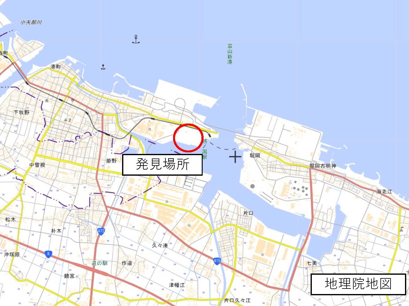 今回ヒアリが発見された場所