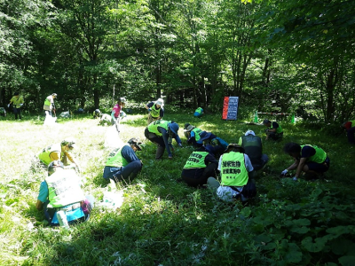 外来植物対策の様子