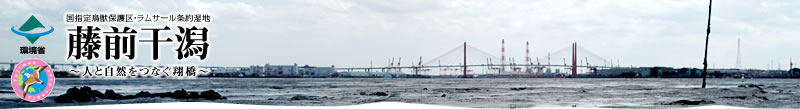 藤前干潟　～人と自然をつなぐ翔橋～