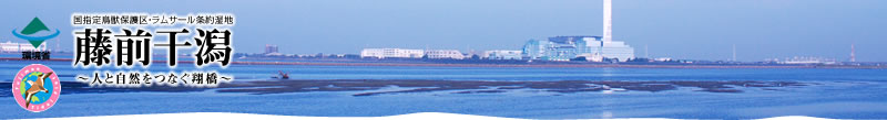 藤前干潟　～人と自然をつなぐ翔橋～