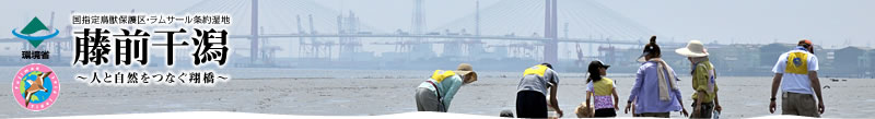 藤前干潟　～人と自然をつなぐ翔橋～