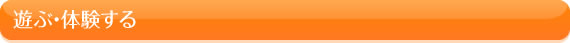 遊ぶ・体験する