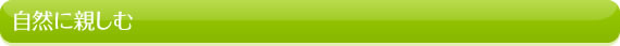 自然に親しむ