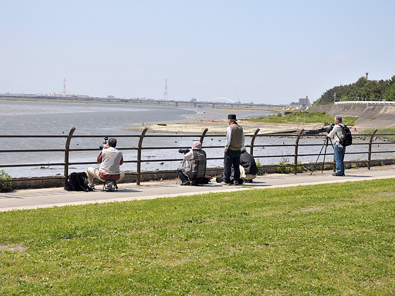 フォトスポット満載!