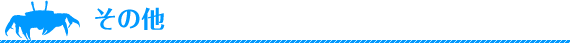 その他