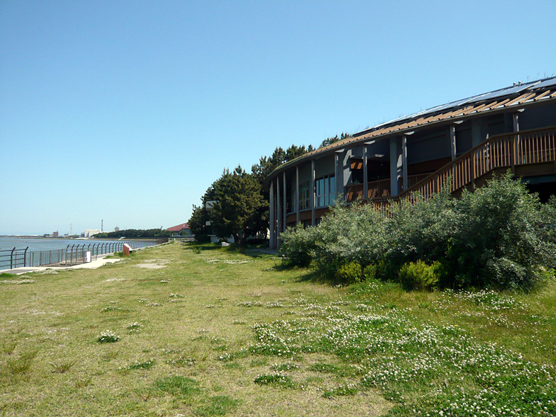 Relaxing on the grass